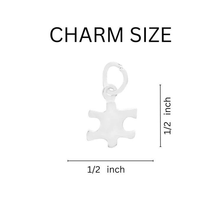 Autism Awareness Puzzle Piece Charm