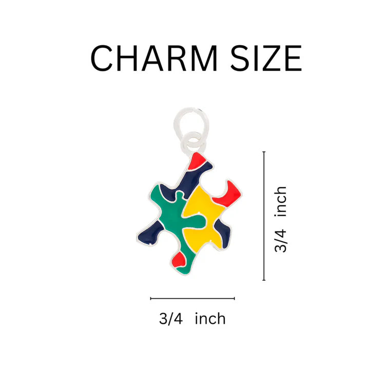 Autism Awareness Colored Puzzle Piece Charm