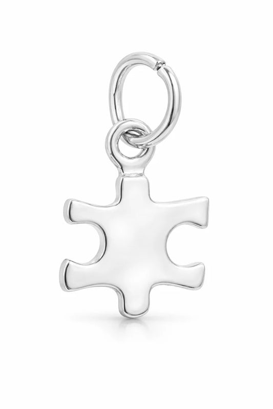 Autism Awareness Puzzle Piece Charm